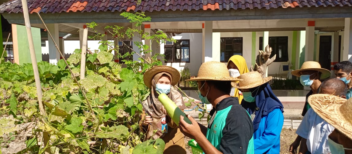 PERAN REHABILITASI PSIKOSOSIAL SEBAGAI UPAYA MENCAPAI KEMANDIRIAN BAGI PASIEN ODGJ; DIREKTUR DAMPINGI PASIEN  PANEN HASIL KEBUN;
